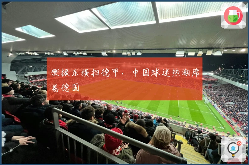 樊振东横扫德甲，中国球迷热潮席卷德国