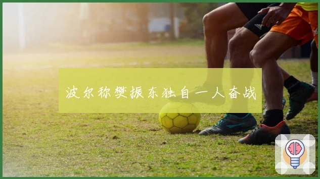 波尔称樊振东独自一人奋战