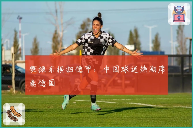 樊振东横扫德甲，中国球迷热潮席卷德国