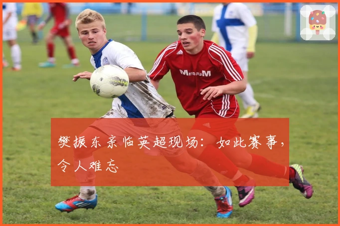 樊振东亲临英超现场：如此赛事，令人难忘